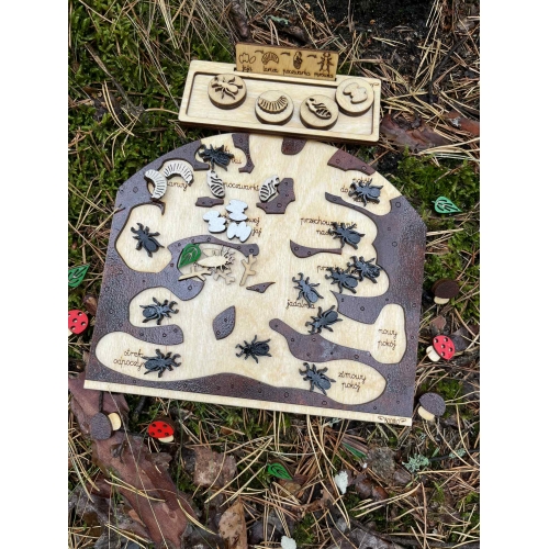 Drewniane Mrowisko (małe )– Edukacyjna Przygoda w Świecie Mrówek! (zestaw malowany)